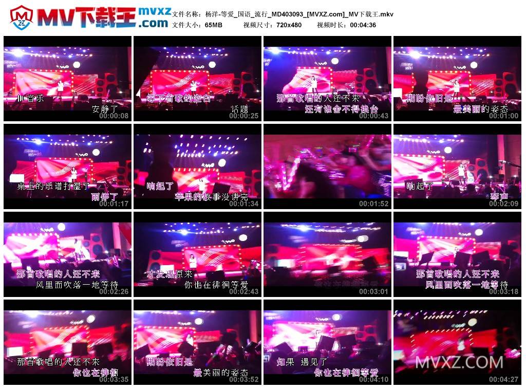杨洋-等爱_国语_流行_MD403093